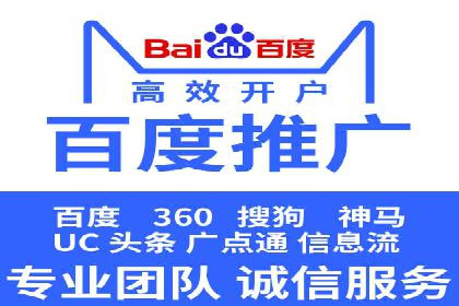 百度竞价广告投放策略：案例分析及效果评估